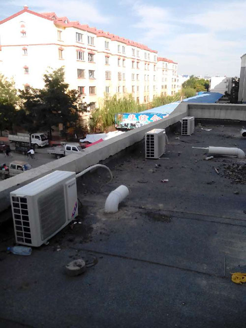 ����ɭ�����ɲ�